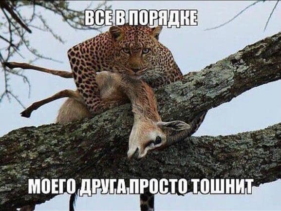 Боянистые картинки 12.12.20