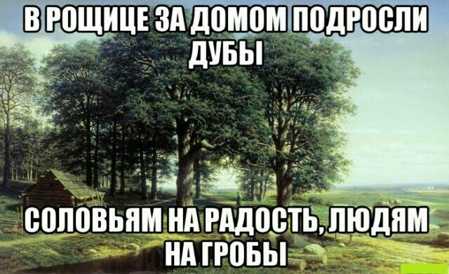 Весенний взгляд из темноты