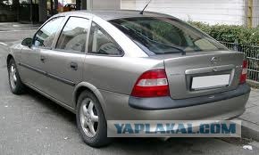 Быдло на фокусе