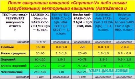 Пандемия. Коронавирус. Россия и мир. Последняя информация. Часть 21