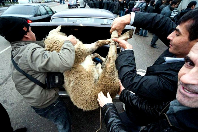 "Где вы берете еду?" Интернет-пользователи на Западе смакуют гигант-человейник в Кудрово