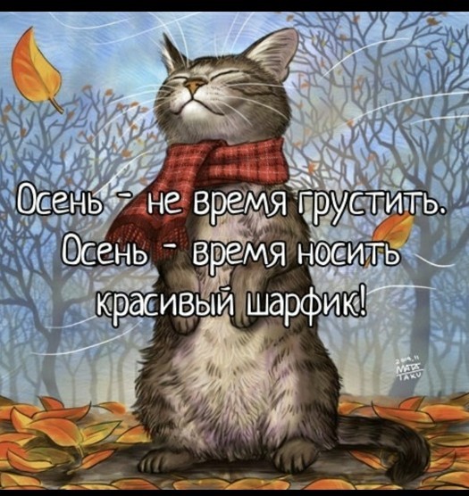 Жизнь домашнего приюта для котеек 367