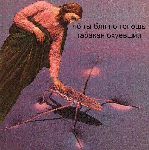 Картинки аморальные и всякие разные - 19