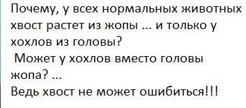 Картиног подвезли