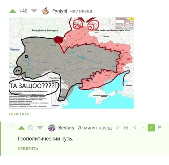 16522228.jpg