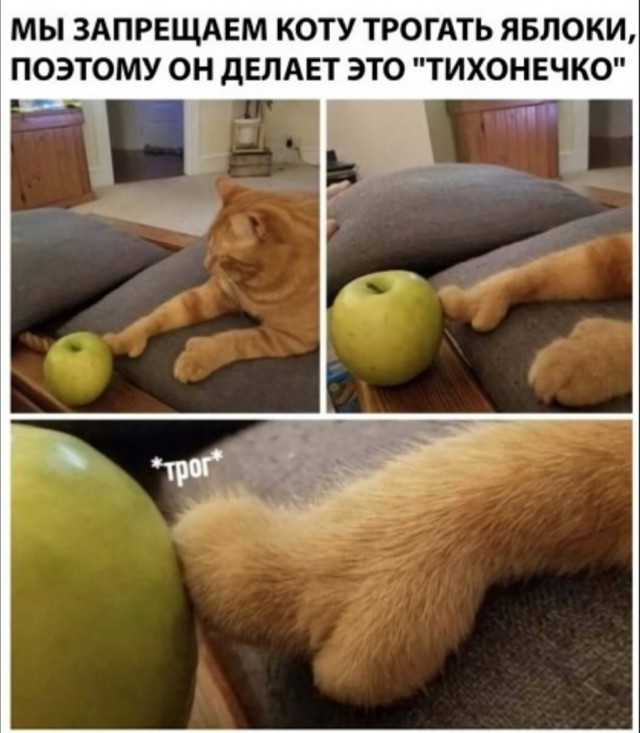 Так себе картинки 08.05.22