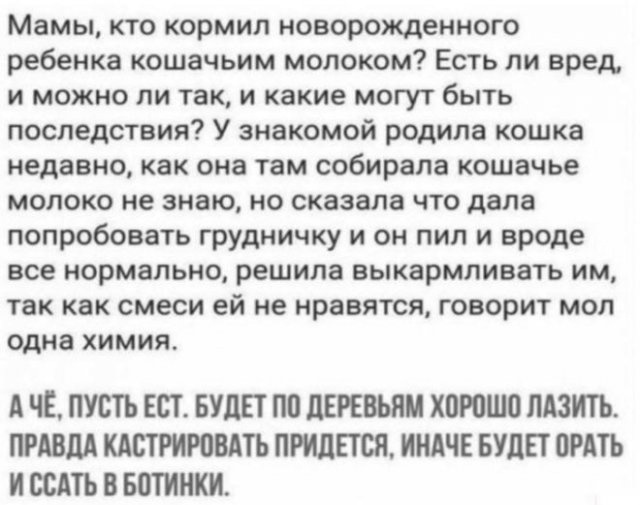 Так себе картинки 02.08.22