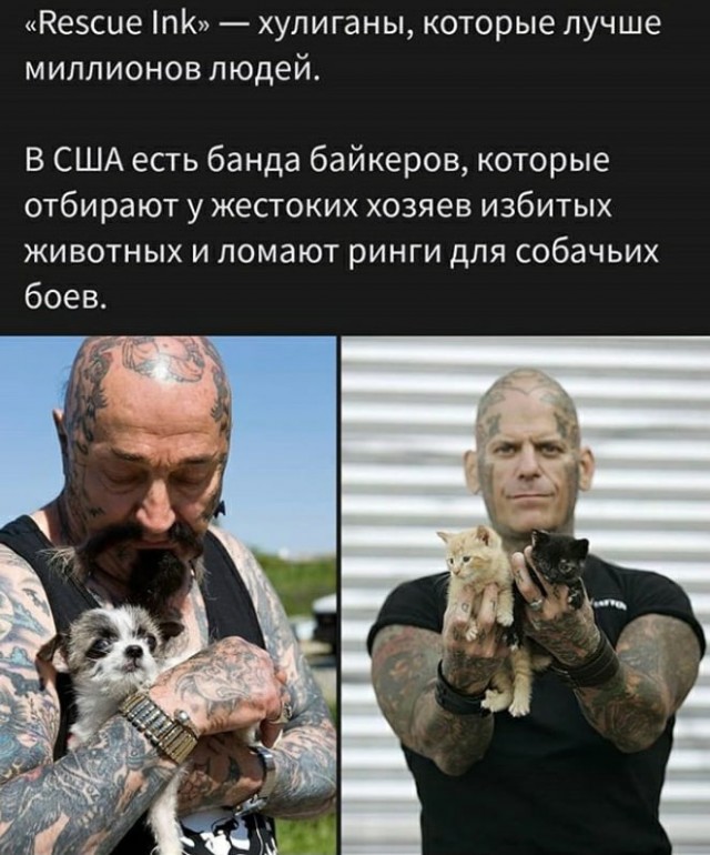 Немного картинок для настроения - 112
