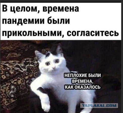 Пандемия съехавших крыш - разновидности болезни. Россия и мир. Часть 44.