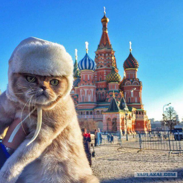 ⚡️Киев признал, что задействовал вчера ПВО рядом с местом падения ракет в Польше