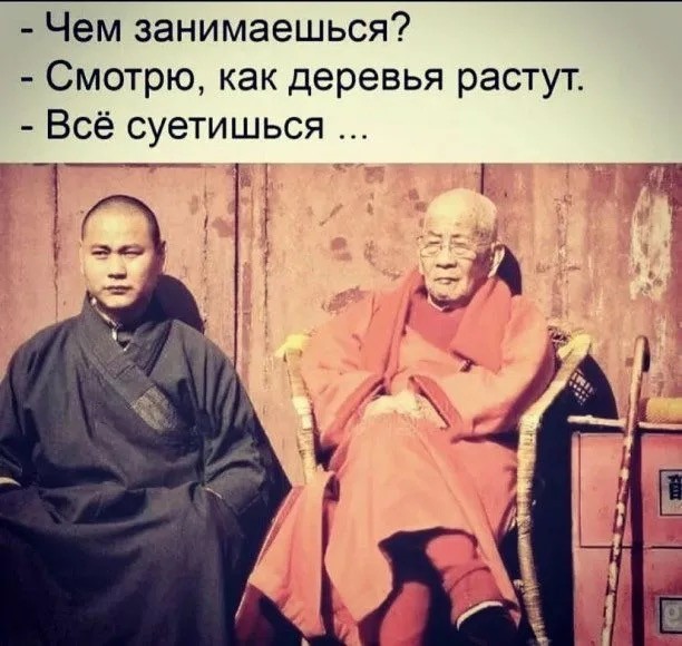 Как ленивцы умудряются выживать в дикой природе и почему им не страшны хищники