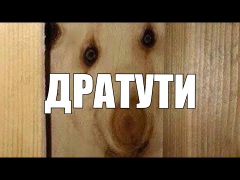 10 популярных мемов, которые подарило нам кино