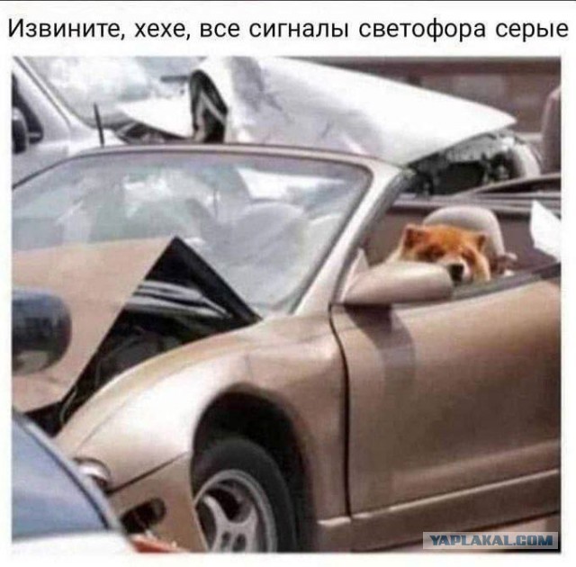 Никакие картинки