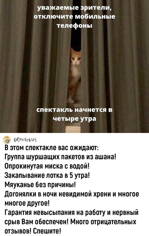 Так себе картинки 24.07.24