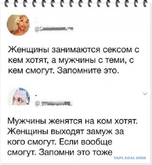 На баб надежды нет