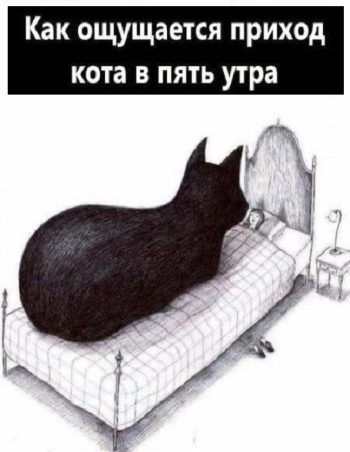 Картинки разные с надписями и без