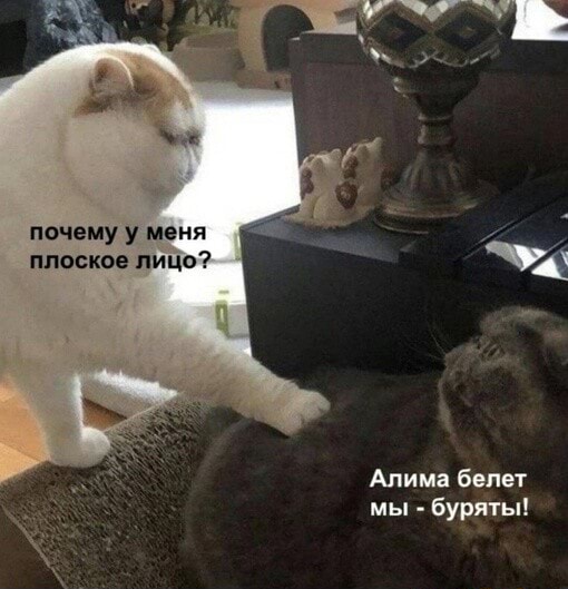 Как отличить азиаток