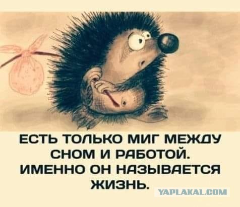 Картинки для деградации 82 (разной степени свежести)