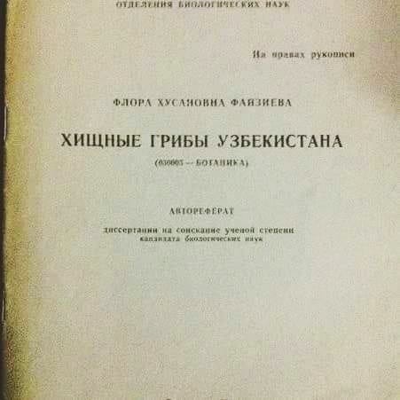 Картинки для деградации 192 (разной степени свежести)