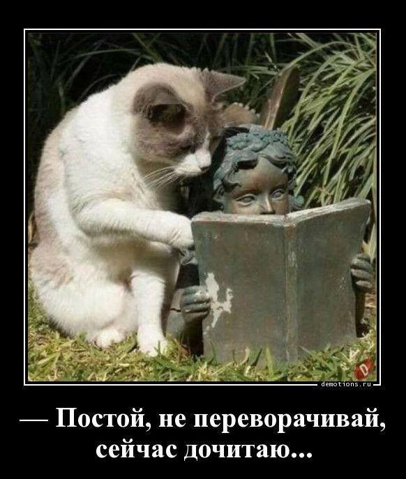 Четверговые картинки