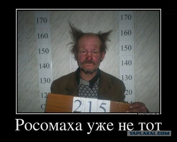 Из бомжа в шоу-бизнес