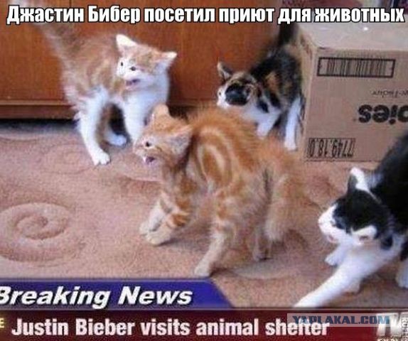 Тема для юмора