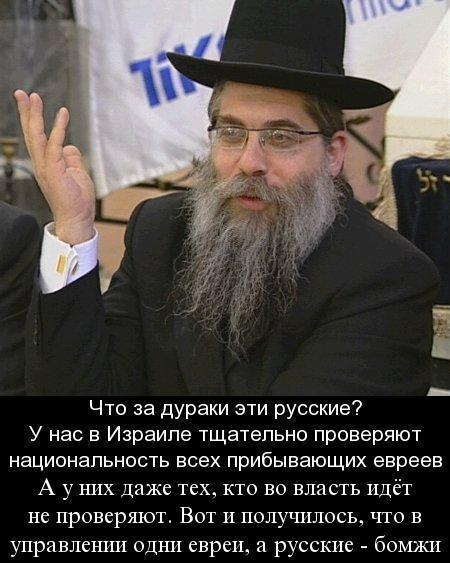 Толерантность...