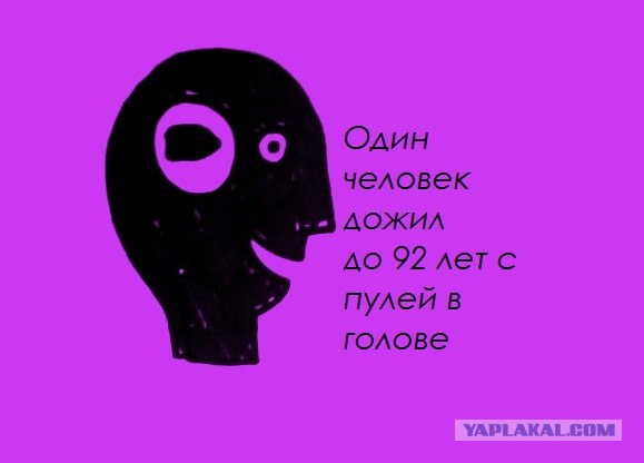 Забавные минифакты в картинках