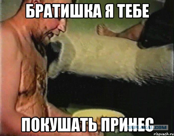 Культура посещения WC