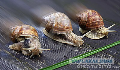 У каждого своя смерть...