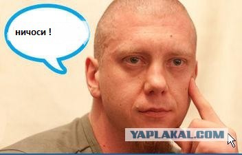 Ответ юзеров сети на появление нового мема Ничоси