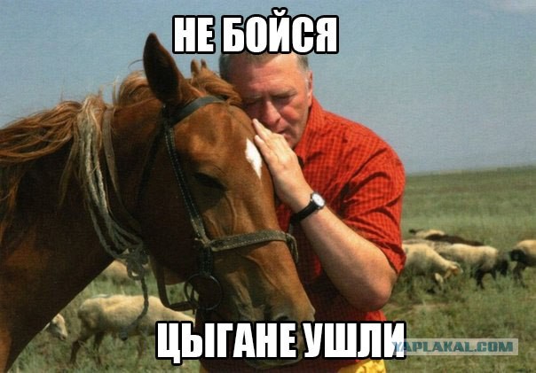 Картинки 12.05.2015