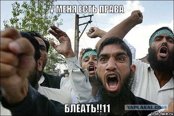 Как во Франции нелегалы штурмуют границы