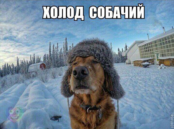 Картинки на пятницу