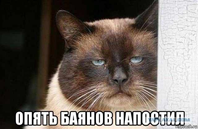 Подборка картинок