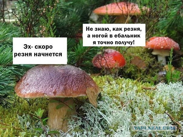 Улыбнемся?