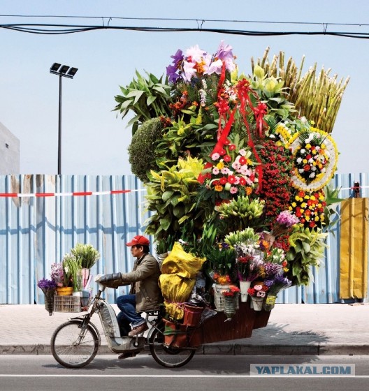 Везут же люди!