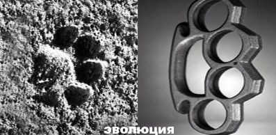 МЕГАПОДБОРКА