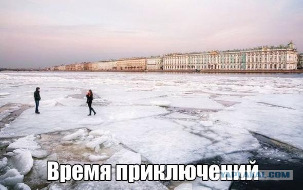 Питерское....