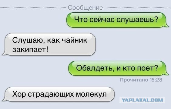 Смешные комментарии 19.02.2017