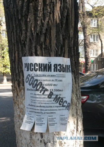 г.Алматы на фоне гор.