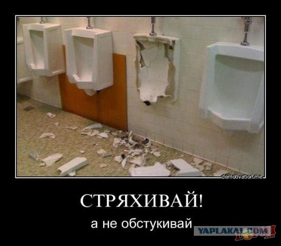 Подборка интересных и веселых картинок