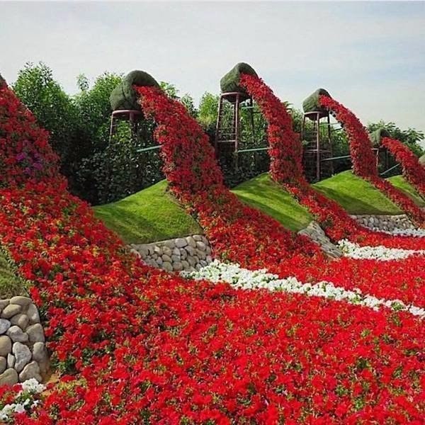 Всякие разные картинки