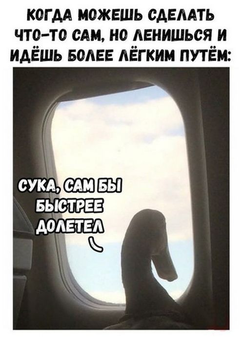 Подборка интересных и веселых картинок