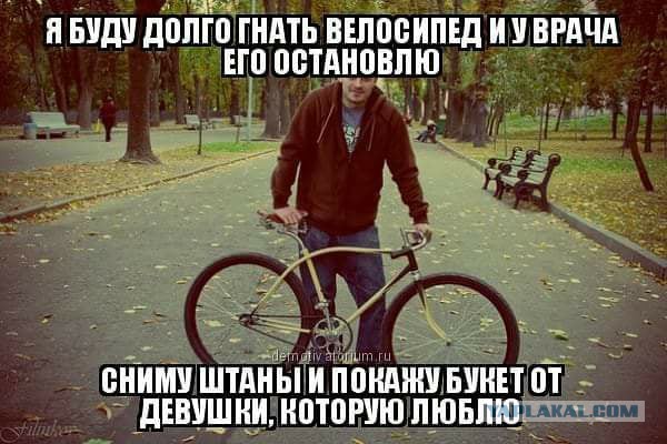 Несколько веселых картинок