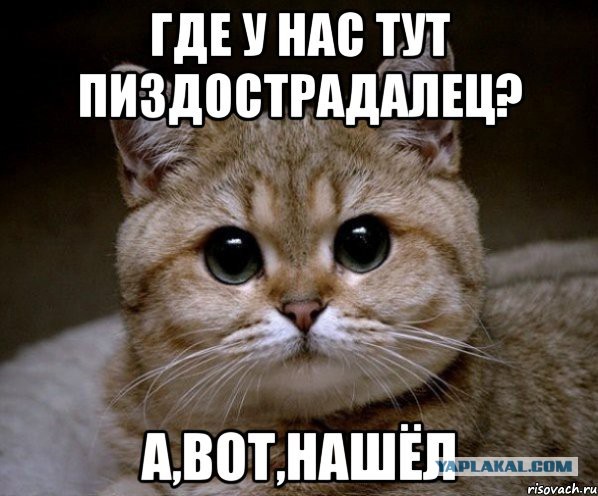 Принимайте в ряды