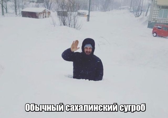 Подборка интересных и веселых картинок
