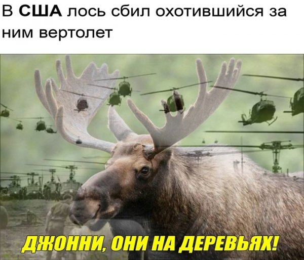 Нестандартный юмор