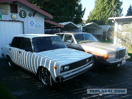 Американский тазовод