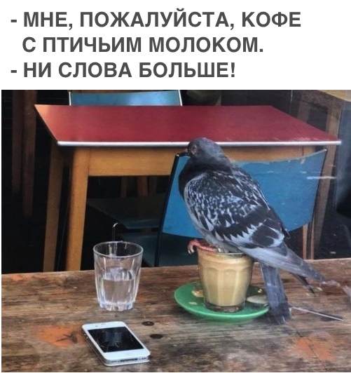 Нестандартный юмор